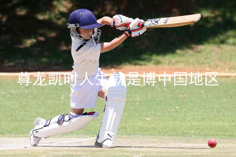 尊龙凯时人生就是博中国地区
