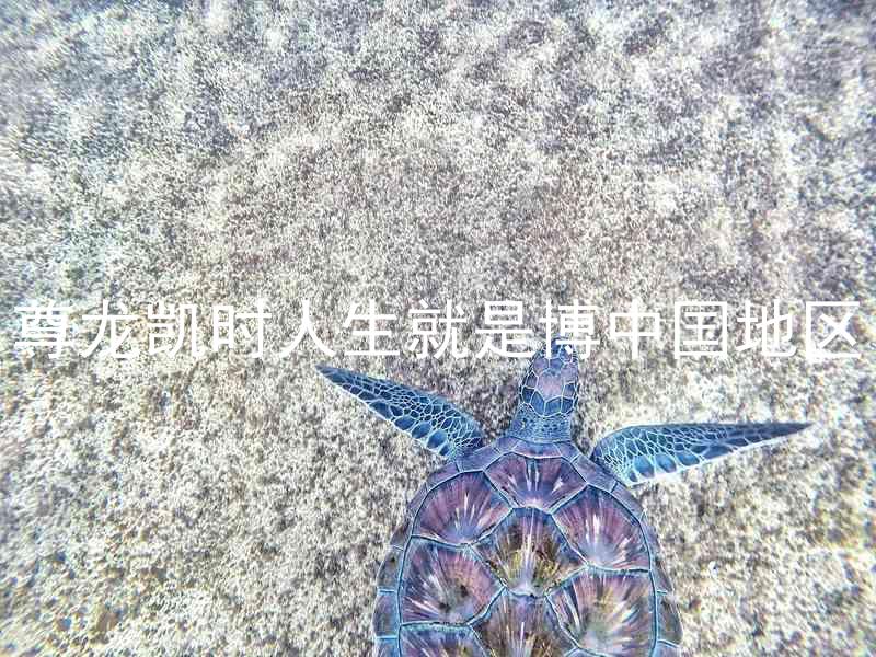 尊龙凯时人生就是博中国地区