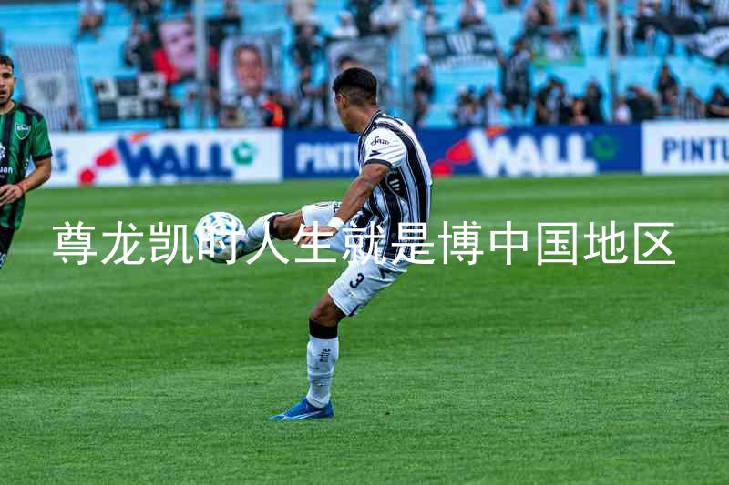 尊龙凯时人生就是博中国地区
